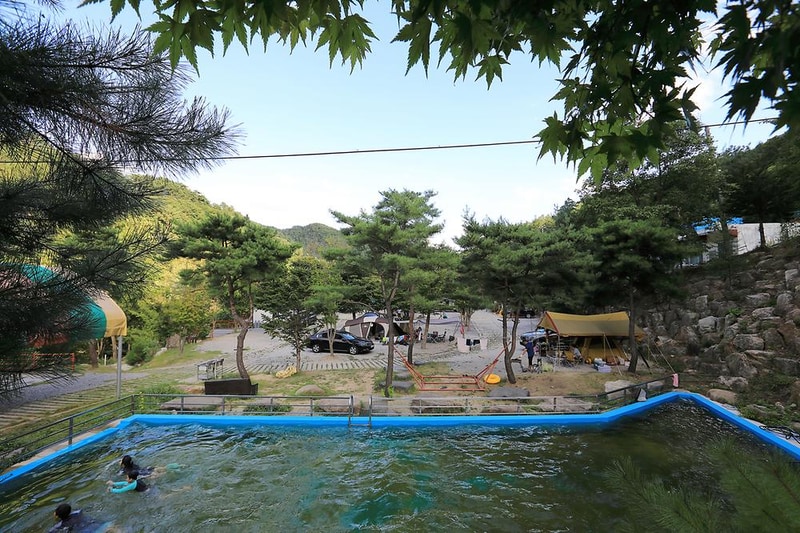 드래곤오토캠핑장 시설 사진 3