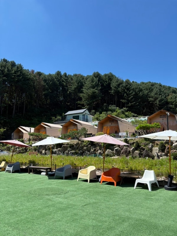 포천 가성비 애견 동반 펜션/글램핑 더히로 플레이 그라운드