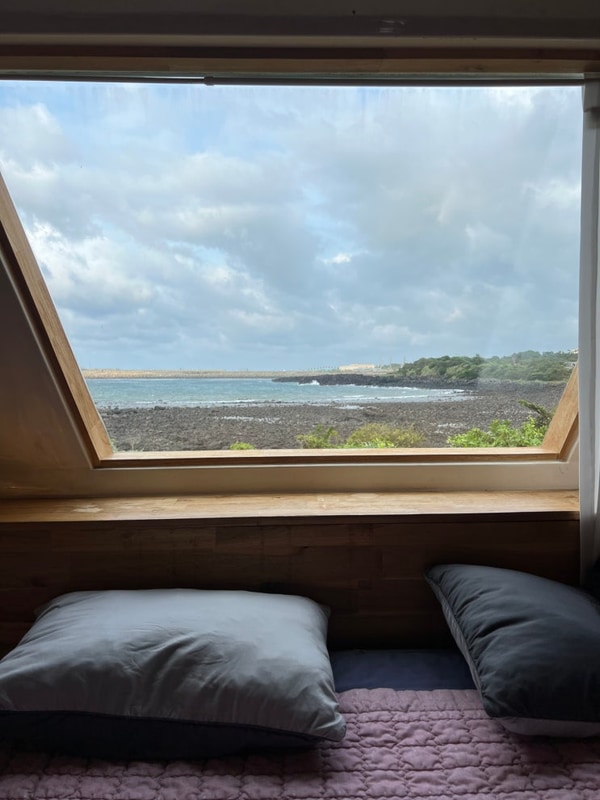 스쿠버다이빙/서귀포은갈치축제/흑미가/서건도카라반)