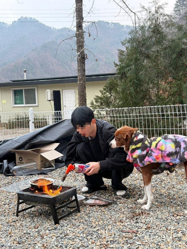 하루와 함께한 횡성 자작자작캠핑장 D-2 일기