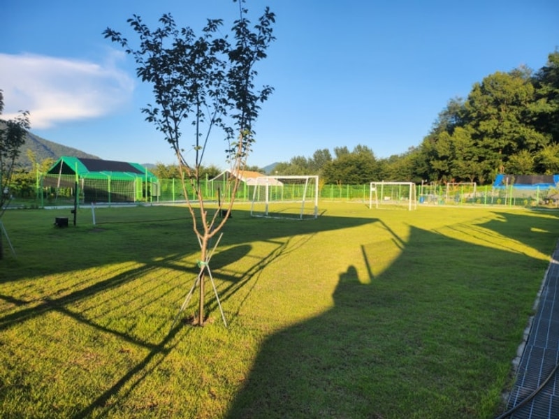 칠곡 대양야영장 대구근교 애견동반캠핑장