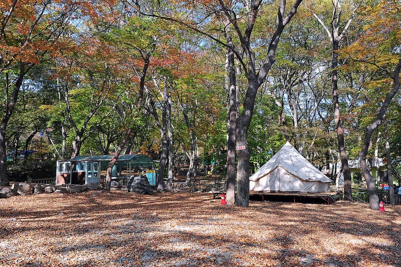 숲속가든 캠핑장 시설 사진 7