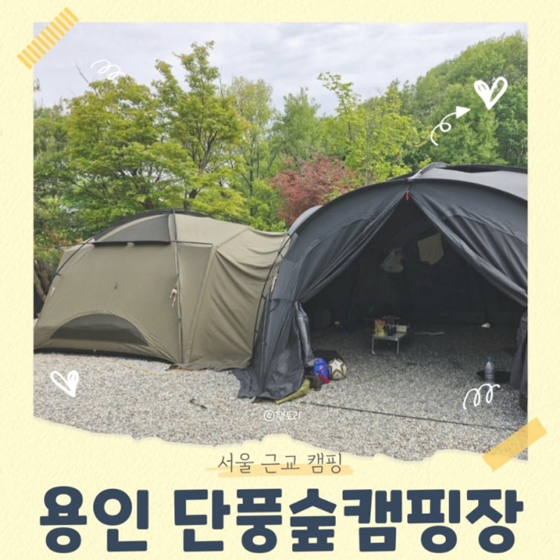 용인 단풍숲캠핑장 곰돌이 사이트 후기