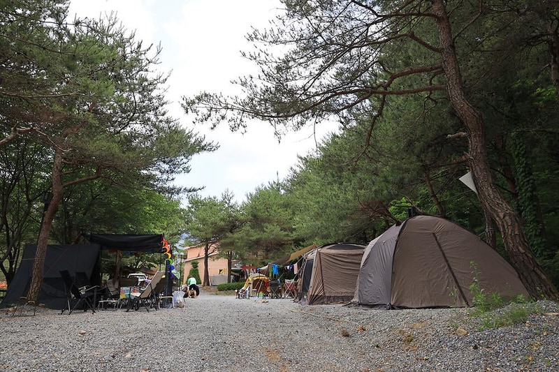 파라다이스캠프 시설 사진 10