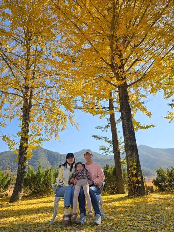 문경 잉카마야박물관 캠핑장 은행나무 원탑 가을 캠핑 성지...