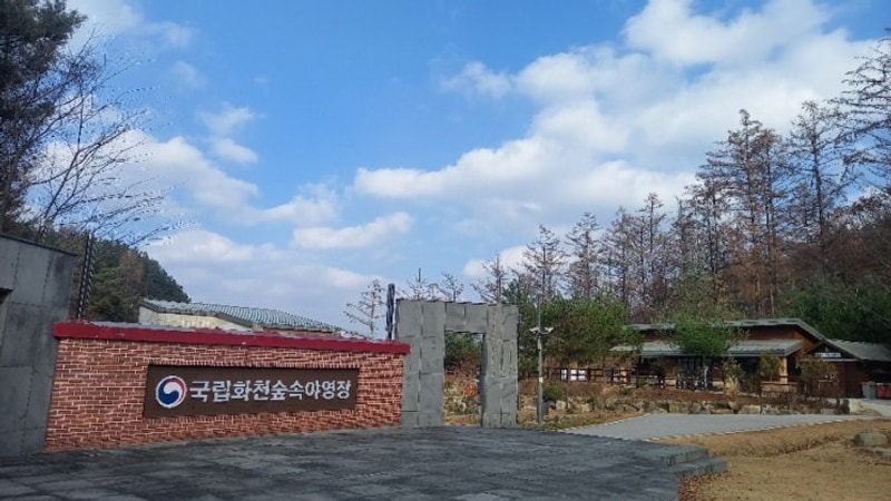 42. 국립화천숲속야영장