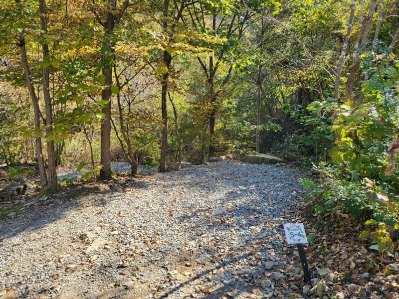 홍천 두미리 관광농원(새소리 캠핑장) 사이트 S4 지프 배럭 빌
