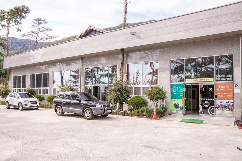 솔내음 물댄동산 야영장 시설 사진 12