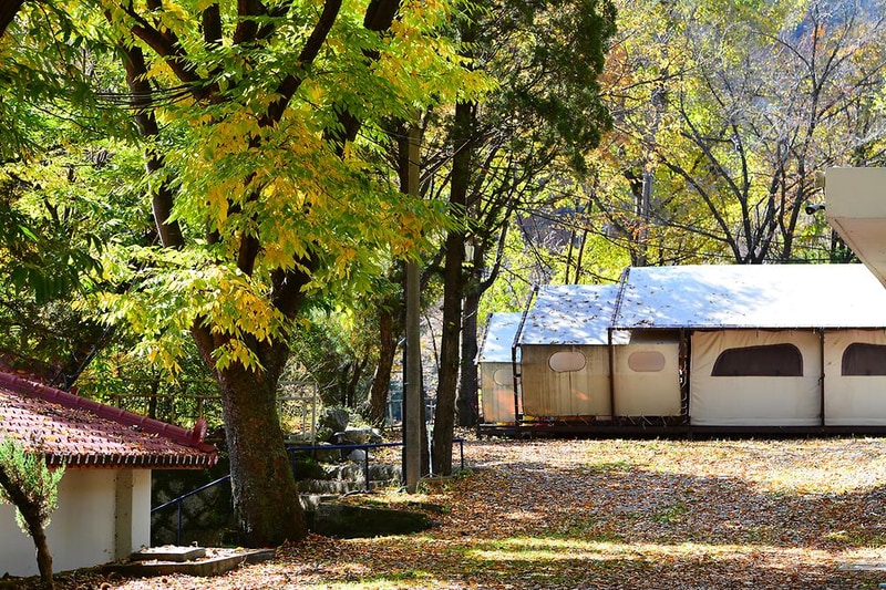 별빛누리 글램핑 시설 사진 9
