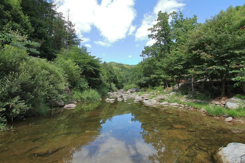 소풍가는날펜션 오토캠핑장 시설 사진 14