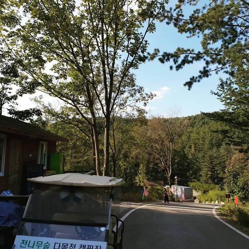양평 다목적캠핑장 시설 사진 18
