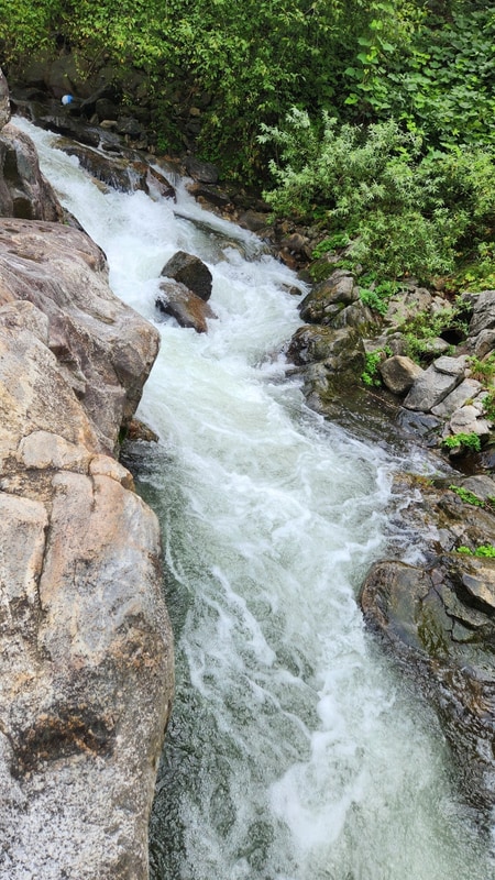 했던 환상적인 우중 캠핑_영월 물마루캠핑장(2025.08.13.~08.16.)