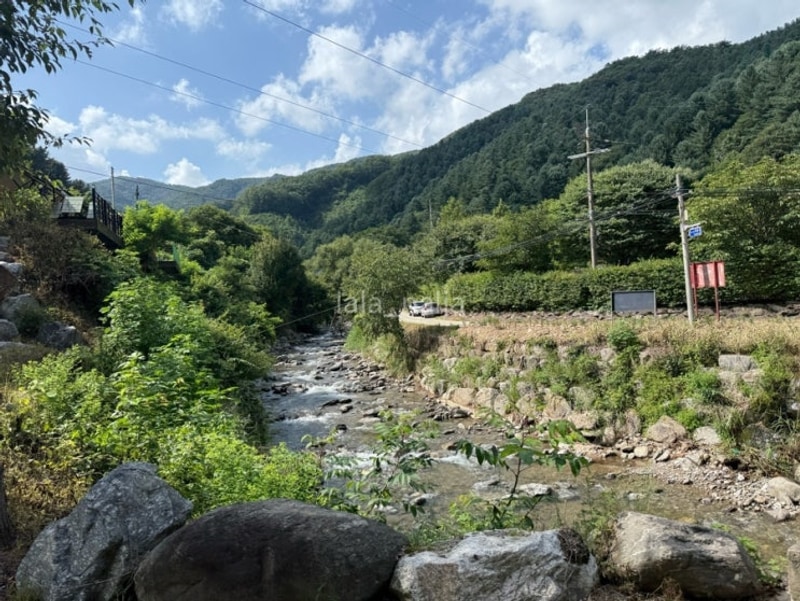 지지네캠핑 | 춘천캠핑월드 A-13 오토캠핑장