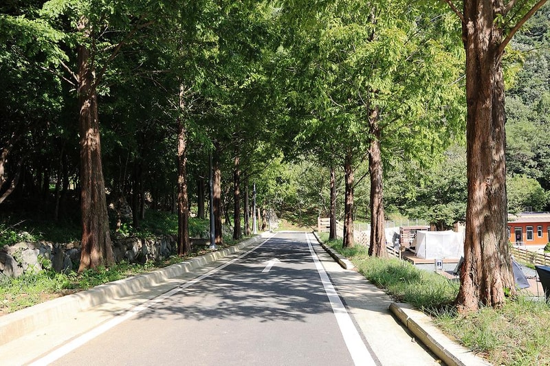 월아산 자연휴양림 시설 사진 12