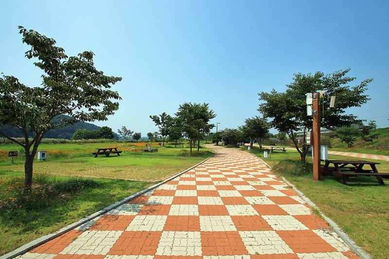 청양 동강리 오토캠핑장 대표 사진