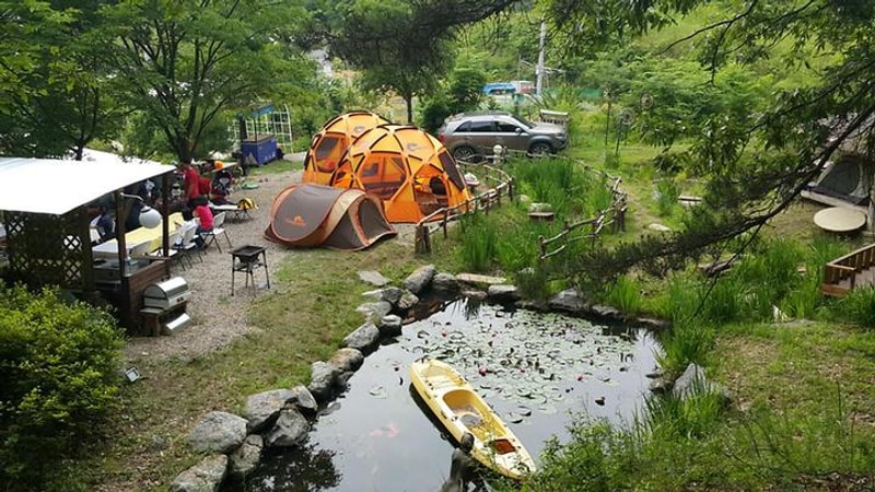 팜스퀘어 하늘타리 대표 사진