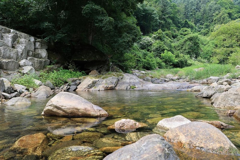 하늘숲빌리지글램핑 시설 사진 5