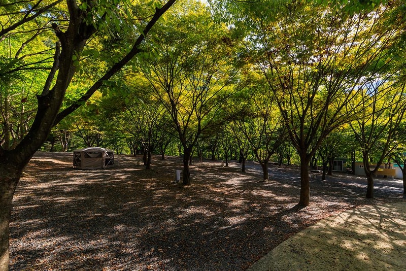 약초농원 캠핑장 시설 사진 15