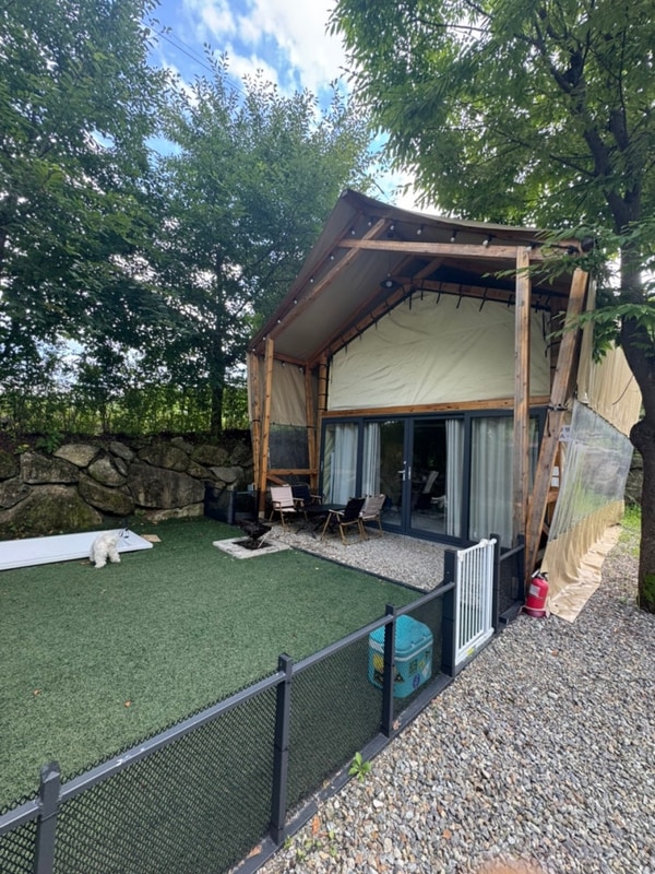 <애견동반숙소> 서울 근교 가평 하이몽 글램핑 & 캠핑 _내돈내산