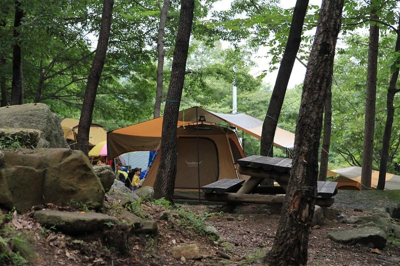 와룡자연휴양림 자동차야영장 시설 사진 12