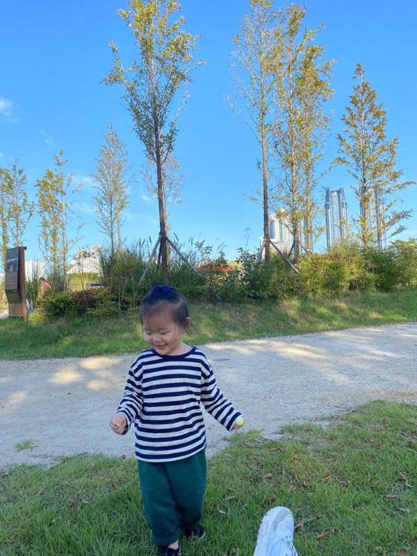 울산태화강국가정원/경주대릉원/포항그린오토캠핑장...