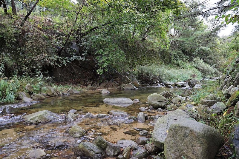 트리하우스계곡야영장 시설 사진 3