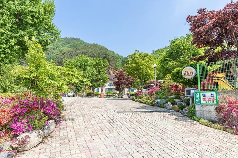 에버그린 캠핑장 대표 사진