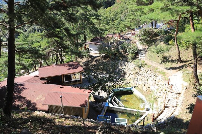 개암벌 용소 관광농원 캠핑장 대표 사진