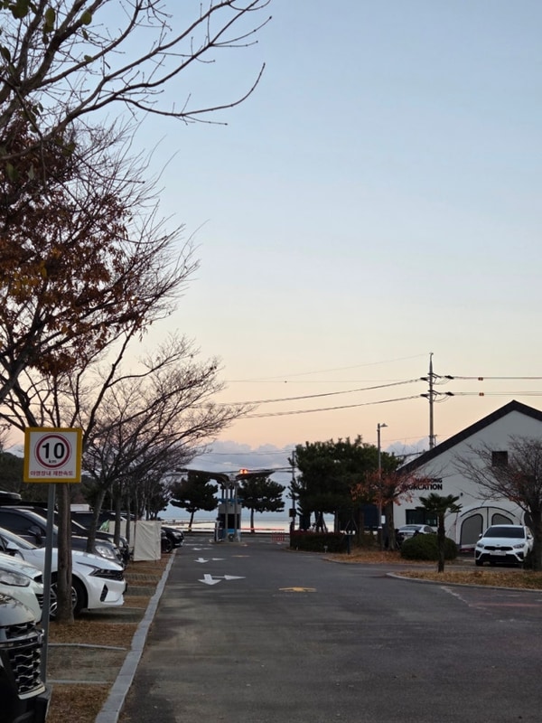 거제 학동자동차야영장 캠핑 후기