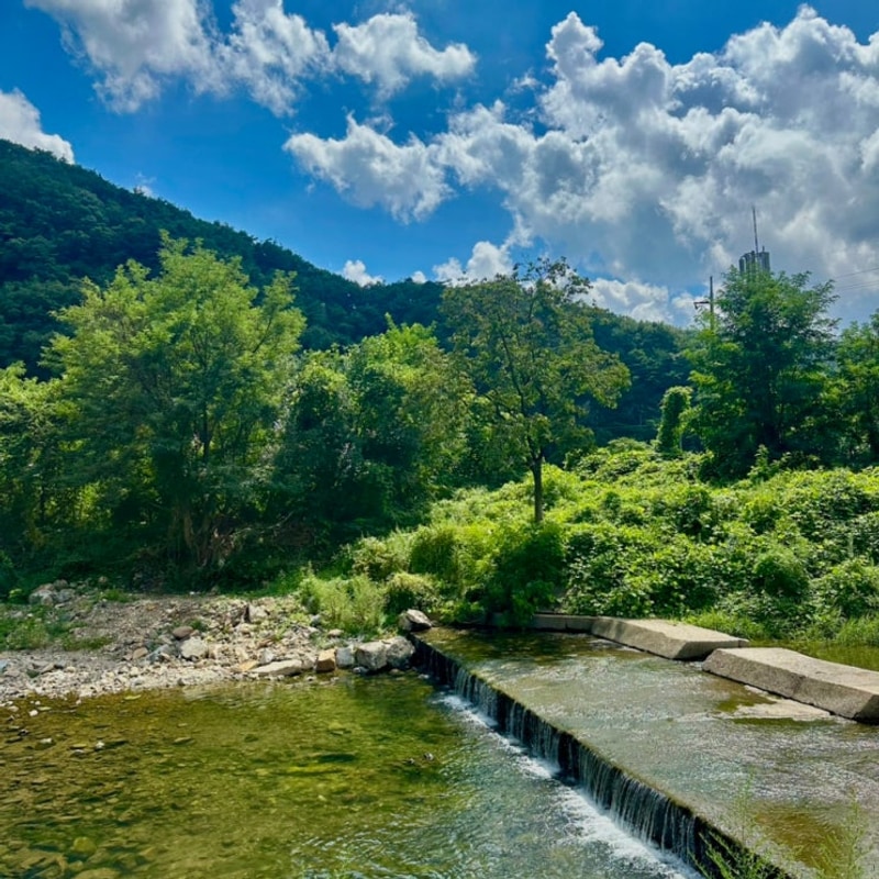 대둔산 캠핑장 완주 부엉캠핑클럽 후기