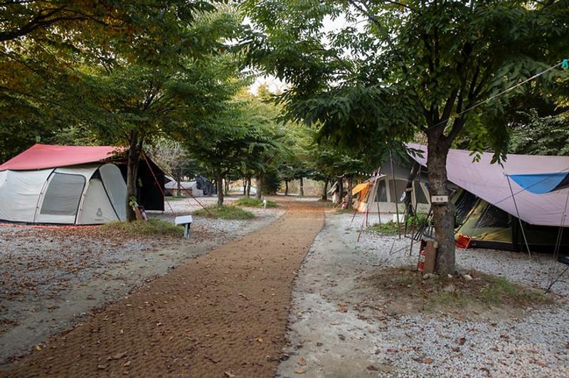 레이크문캠핑장 대표 사진