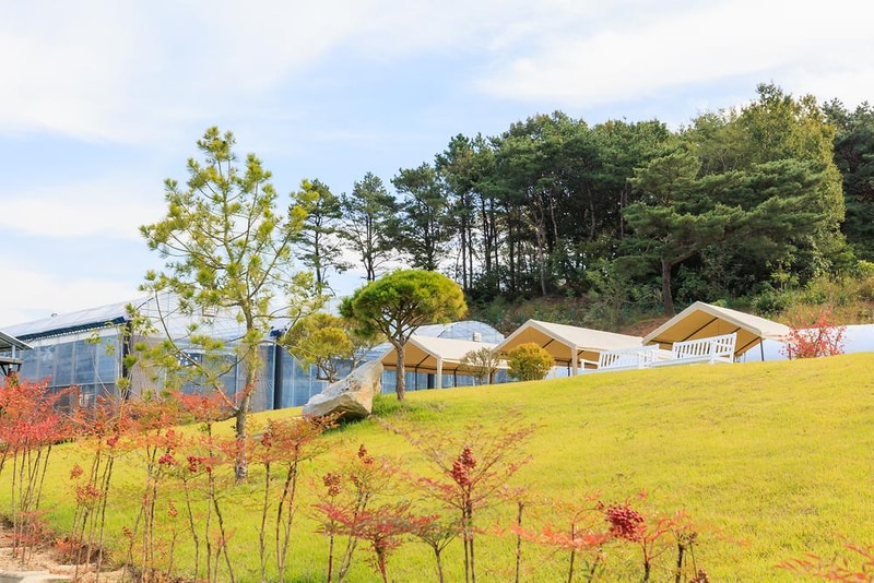 세제골농원 숲속야영장 시설 사진 31