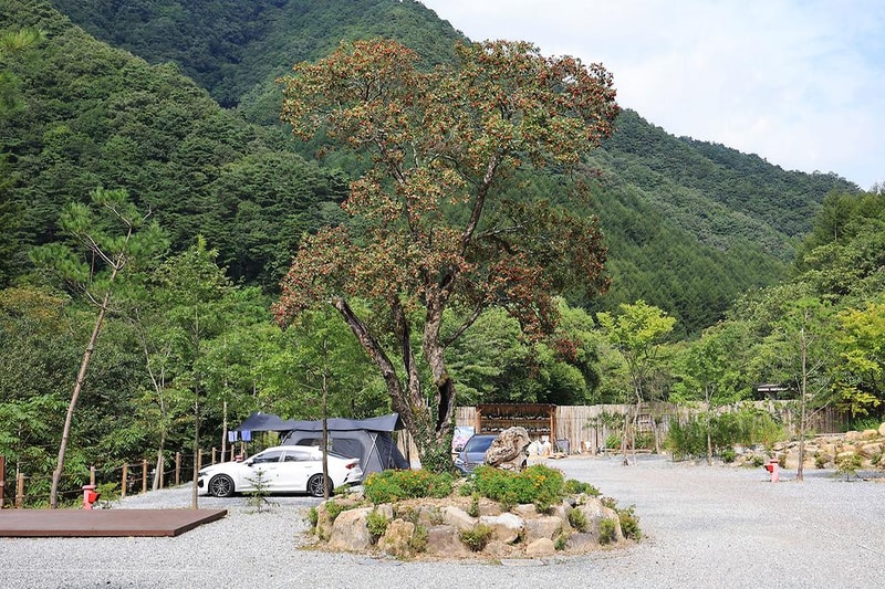 그린필로우 시설 사진 3