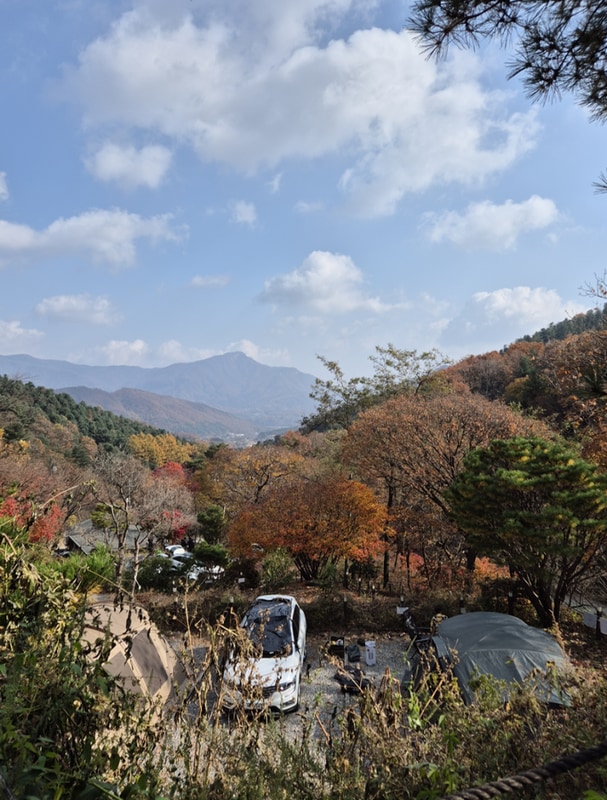 [캠핑일기 37] 수도권 단풍캠 남양주 포레스트 벨리 캠프