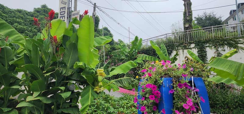 에덴글램핑 시설 사진 21