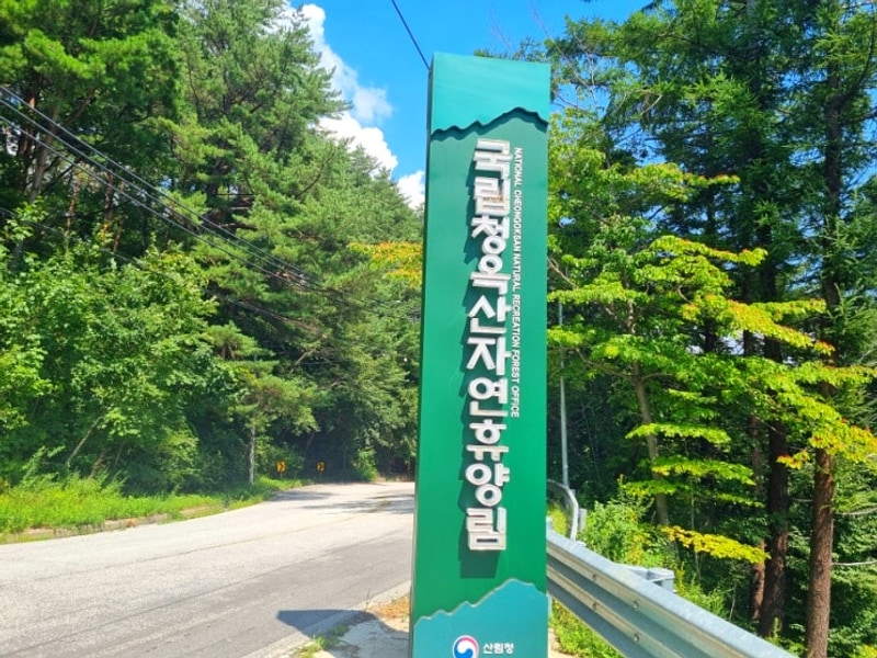 96. 경북 봉화 국립청옥산자연휴양림 야영장 캠핑후기 데크정보