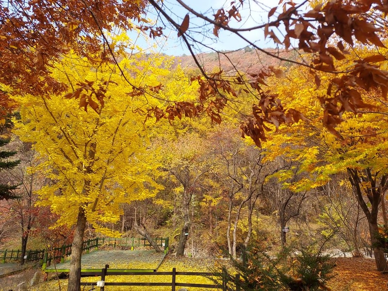 횡성산울림오토캠핑장 시설 사진 47