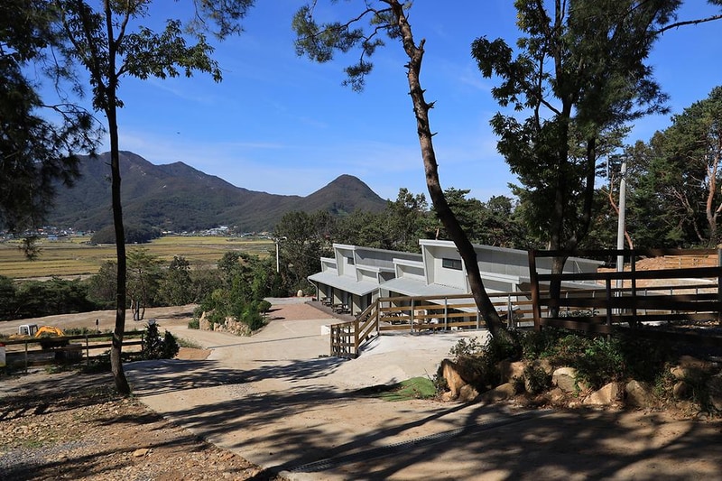 강화도 아침 숲속야영장 시설 사진 17