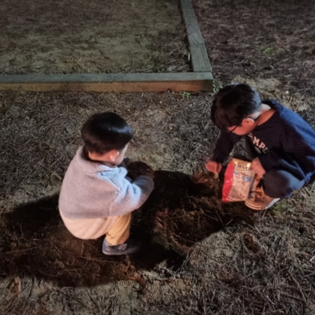 몽산포해변캠핑장 대표 사진