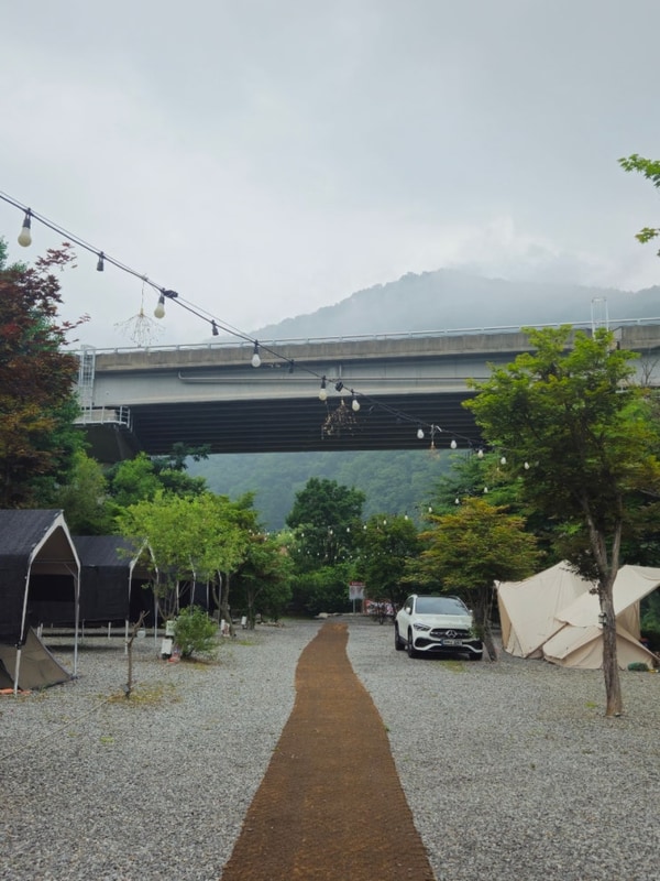 경기도 가평 힐링가평오토캠핑장 / 계곡 / 타프존 / 애견동반