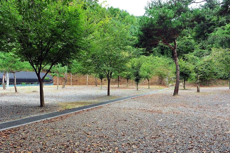 계곡과소나무 캠핑장 시설 사진 9