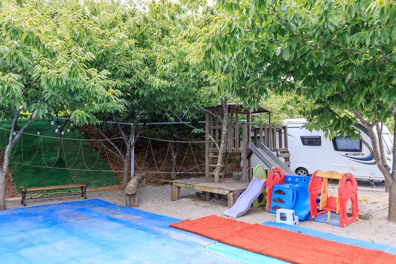 트리팜 관광농원 시설 사진 8