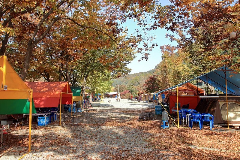 이지캠핑장 시설 사진 3