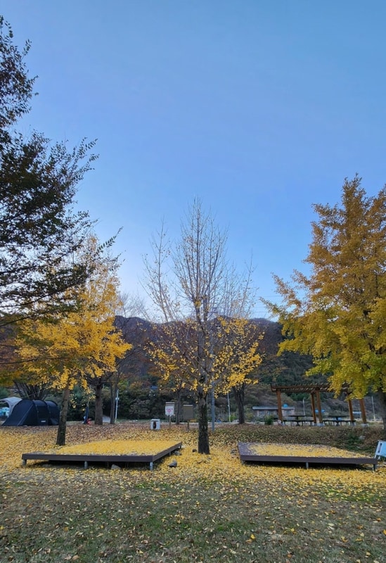 산청 삼장다목적 캠핑장