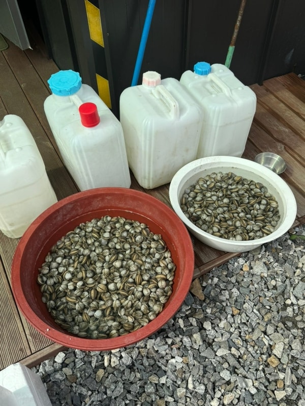 충남 “서천 힐링 캠핑장”갯벌체험 1석2조 애견 동반 캠핑장