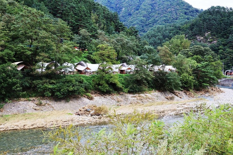 태백구문소힐링캠프 시설 사진 11