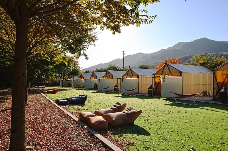 메이플글램핑카라반2호점 대표 사진