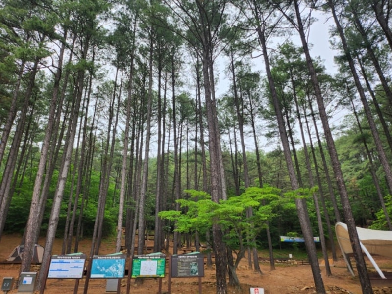 광양 백운산자연휴양림야영장에서 1박