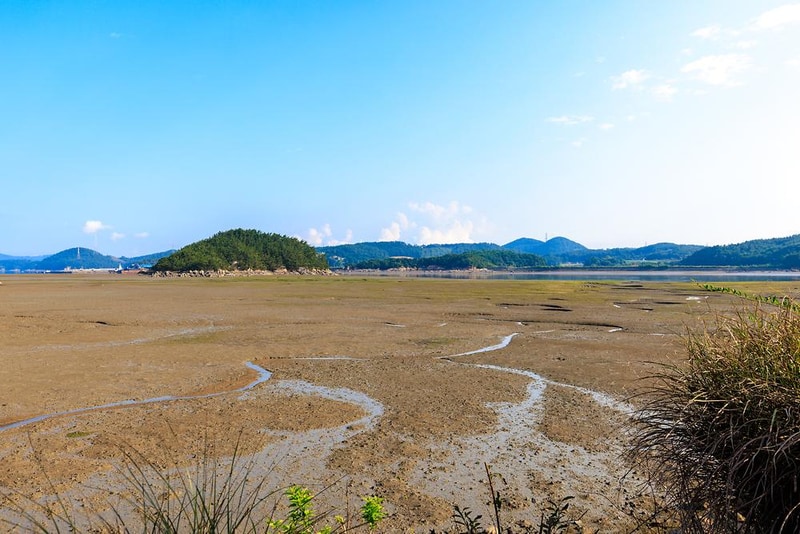 THE쉼오토캠핑장 시설 사진 2