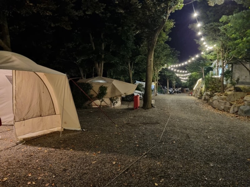 [전남 진도] 카멜리아 힐즈 오토캠핑장